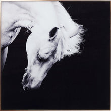 Load image into Gallery viewer, Alu Proud Horse

